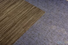 © MOI www.moi.es hotel coloquio de los perros