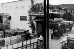 © MOI interiorismo equipamiento fotografía | bodegas Vega de Yuso | www.moi.es