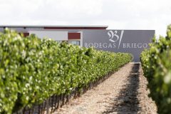 Bodegas Briego © MOI interiorismo | equipamiento | fotografia · www.moi.es